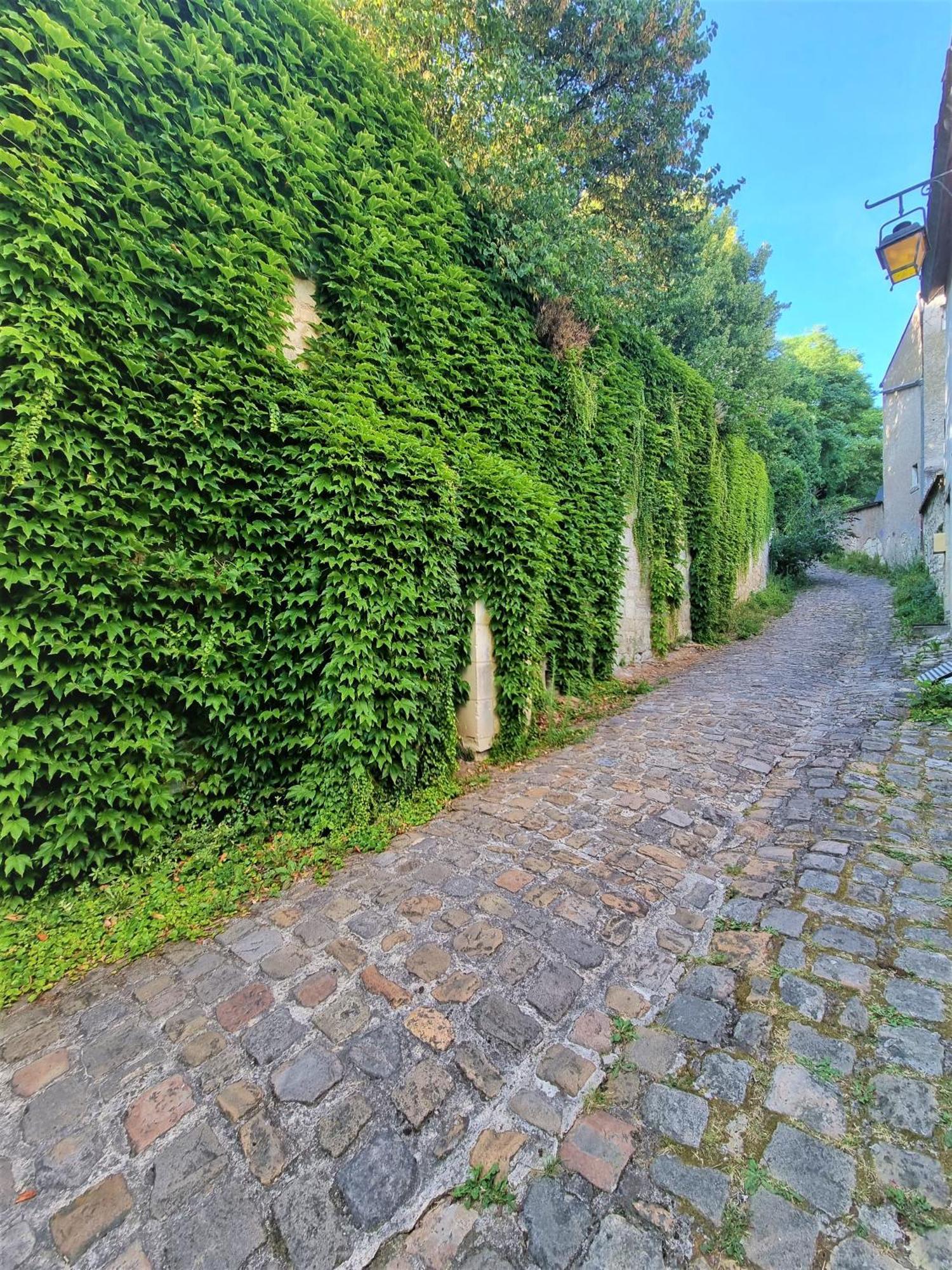 Le Jeanne D'Arc Daire Chinon Dış mekan fotoğraf